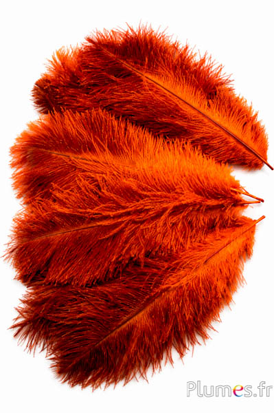 Strauss - 30-40 cm - naturgrau-orange